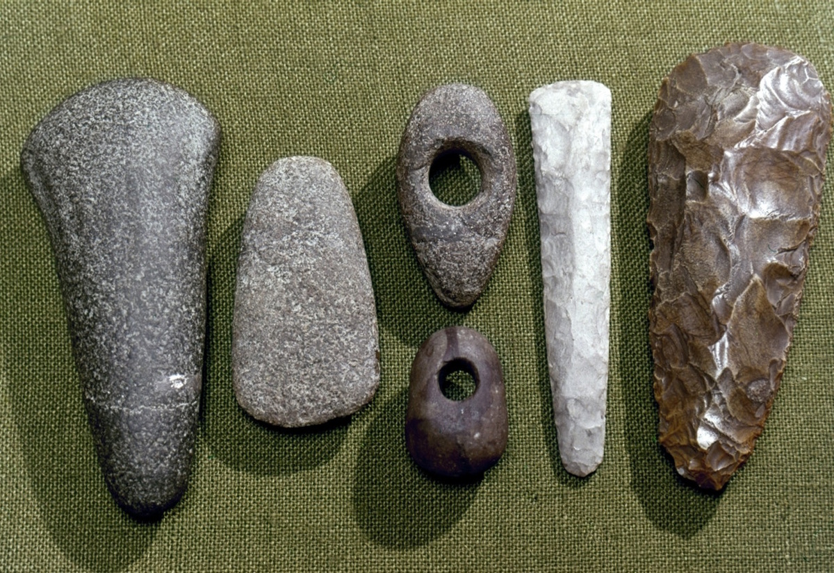 Орудия труда, в том числе инструменты для абразива. (Фото: cdn11.bigcommerce.com).