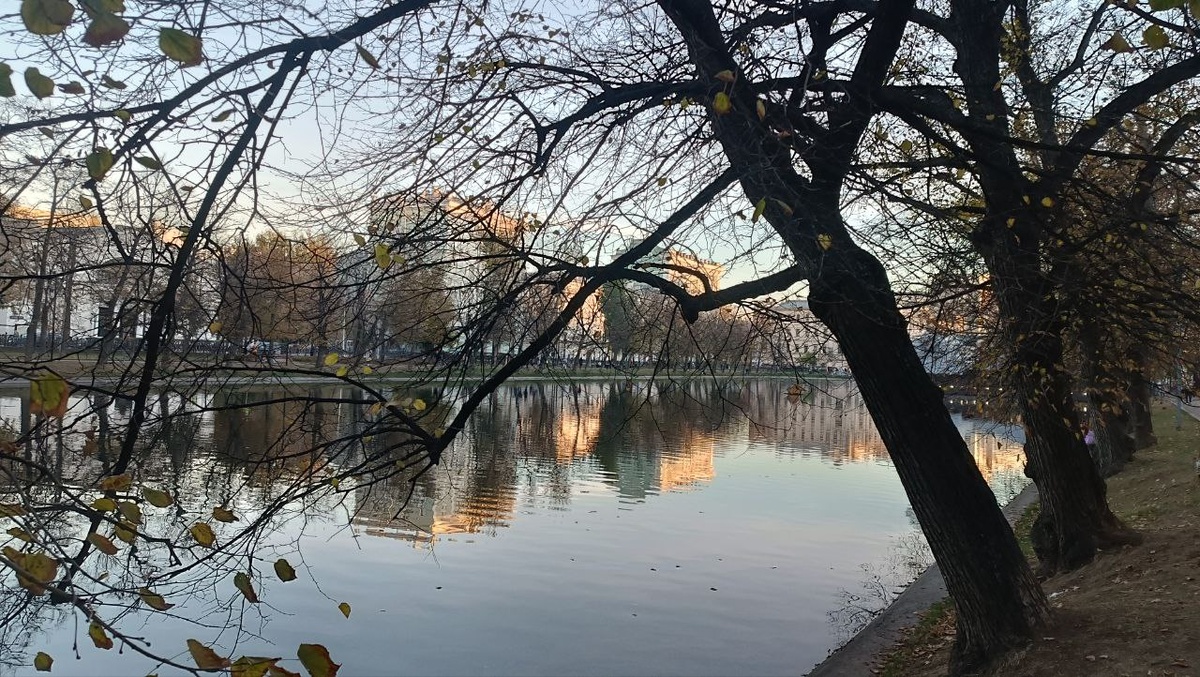 Фото от Риты.                                                          