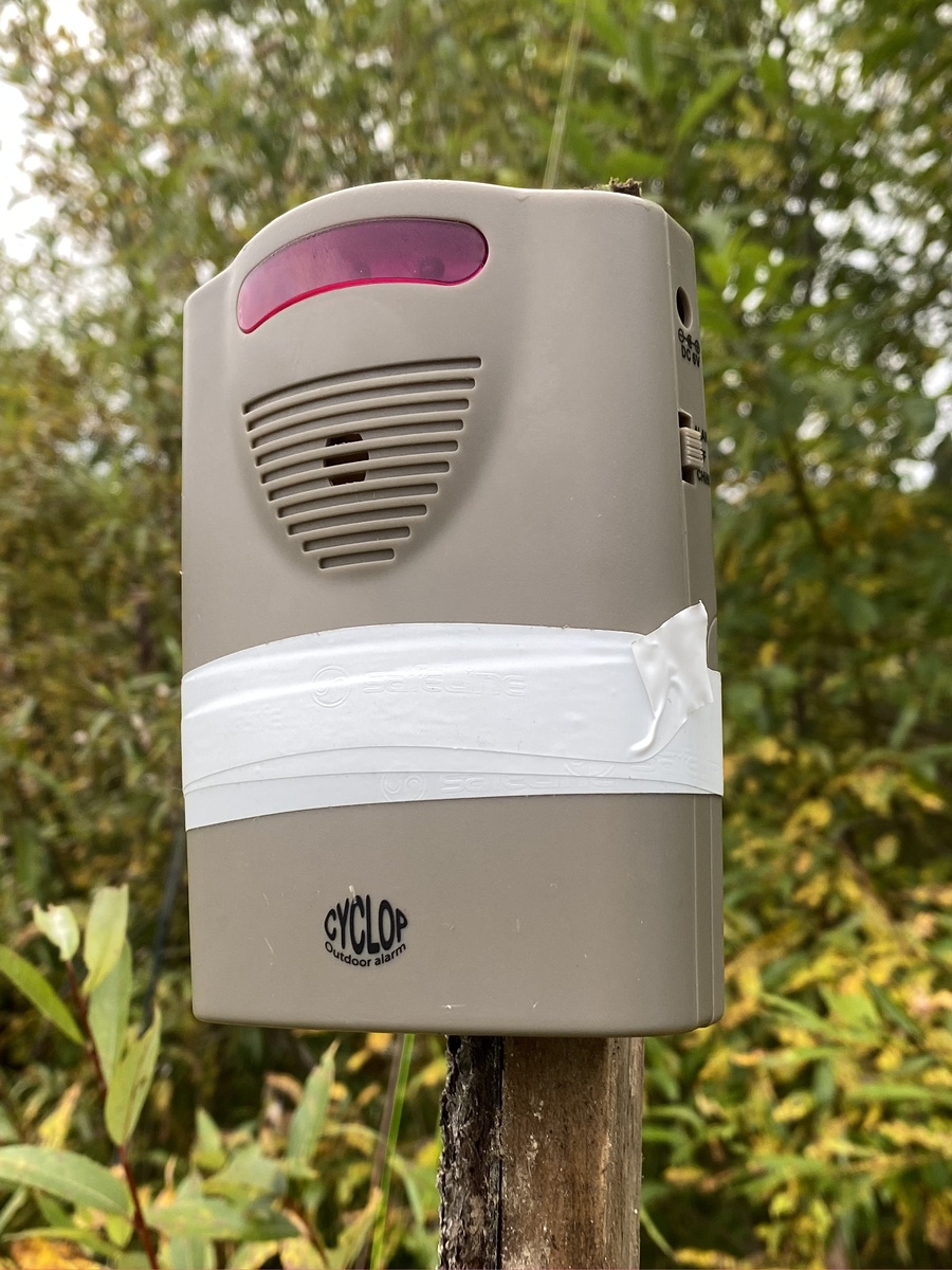 CYCLOP 2 не реагирует на движение веток, травы, ветра и мелких животных, но гостей покрупнее вроде медведя мимо не пропустит
