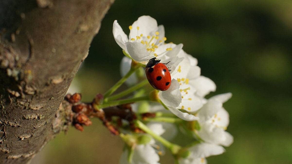    Фото: Анатолий Цымбалюк / Вечерняя Москва