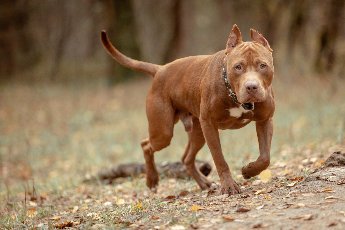 Фотограф Ефанов Алексей efanovfoto.ru