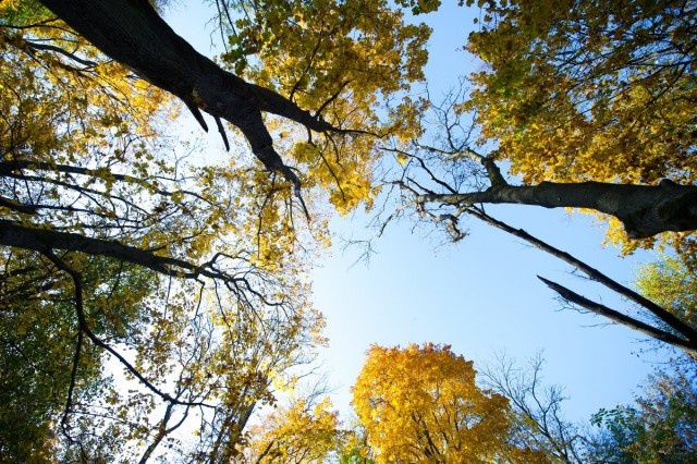   Фото из архива Калининград.Ru