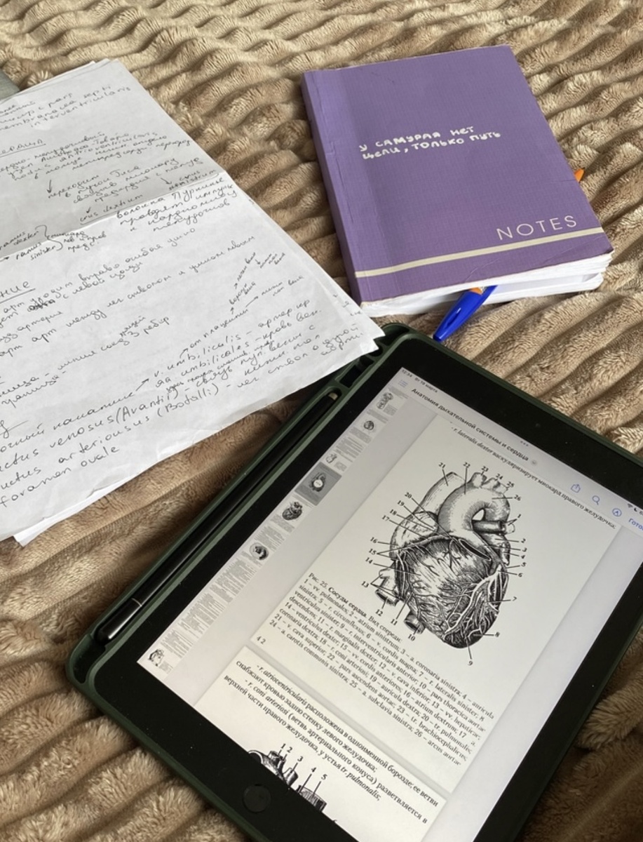 Немного красивых конспектов