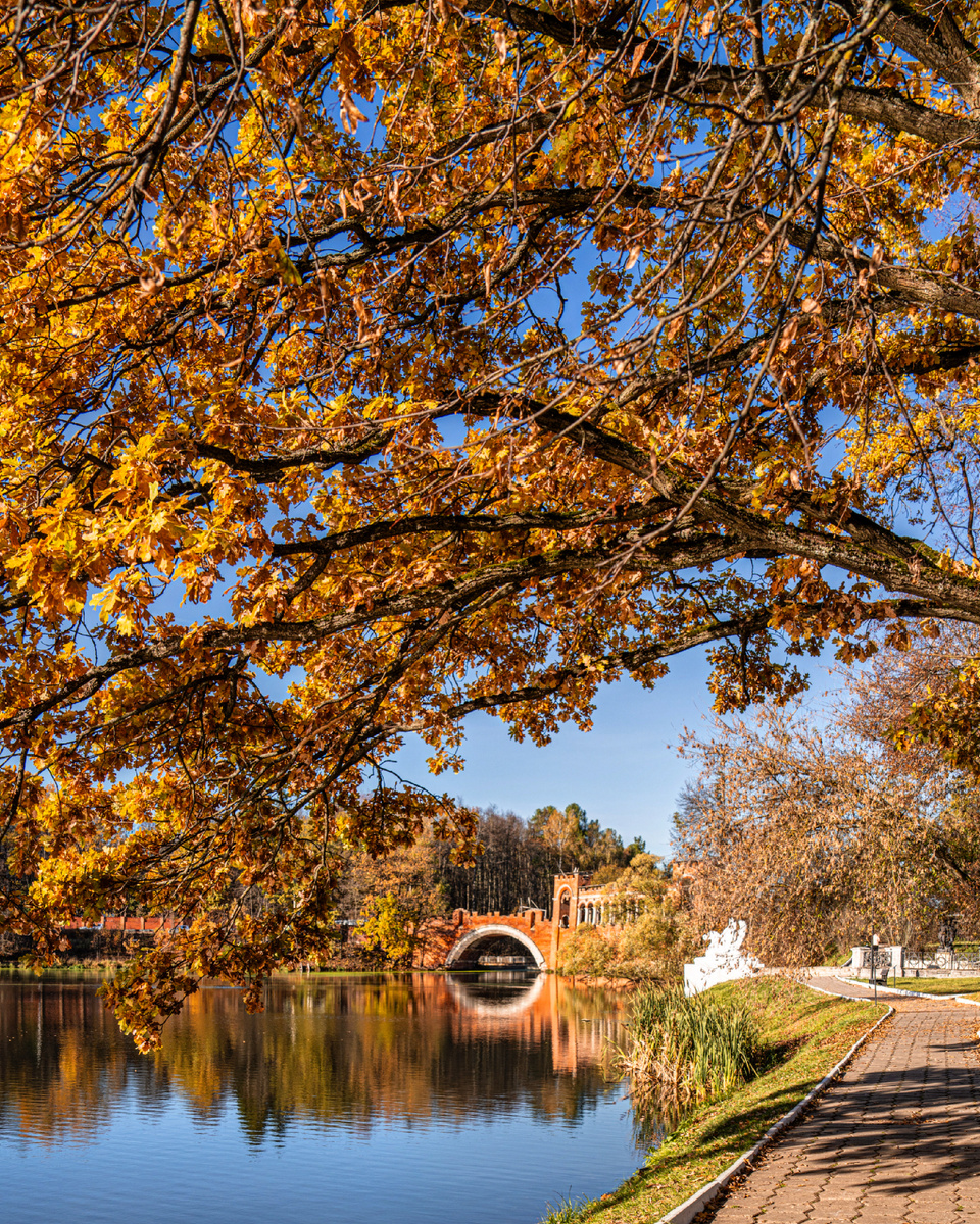 Готический мост в усадьбе 