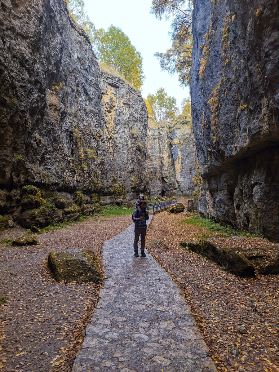 Удивительно идти по листьям, когда практически не видишь деревьев, с которых они опали. 
