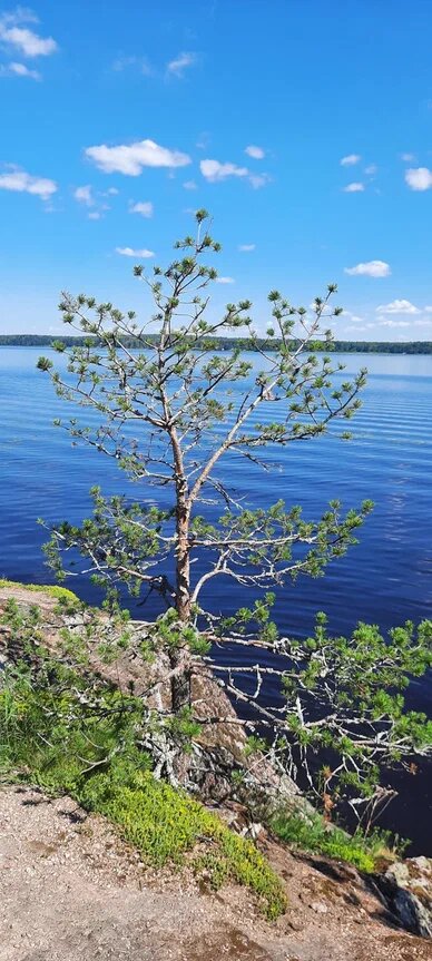Выборгский залив. Фото автора.