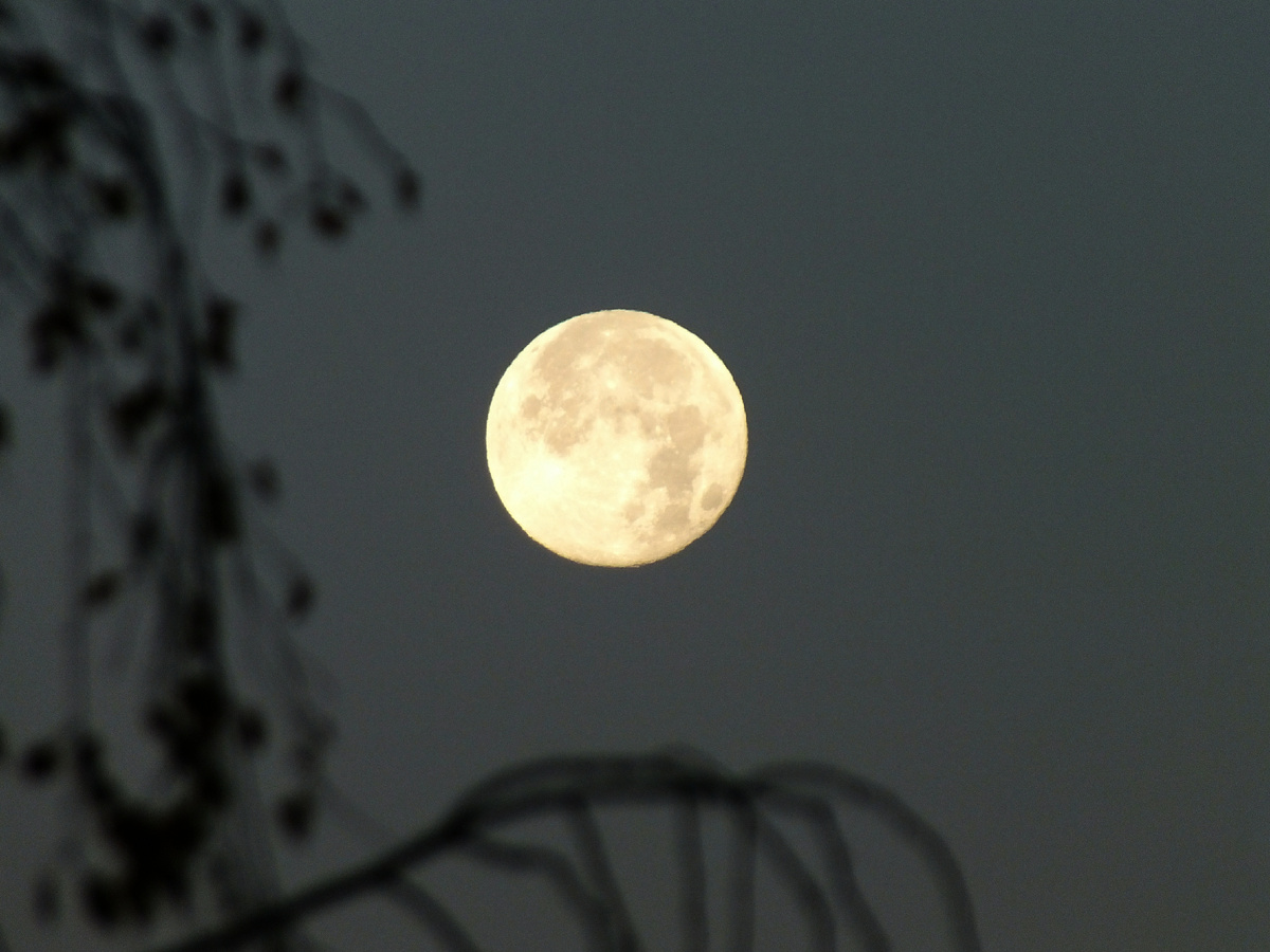 Victor Lisitsyn, Виктор Л/Global Look Press