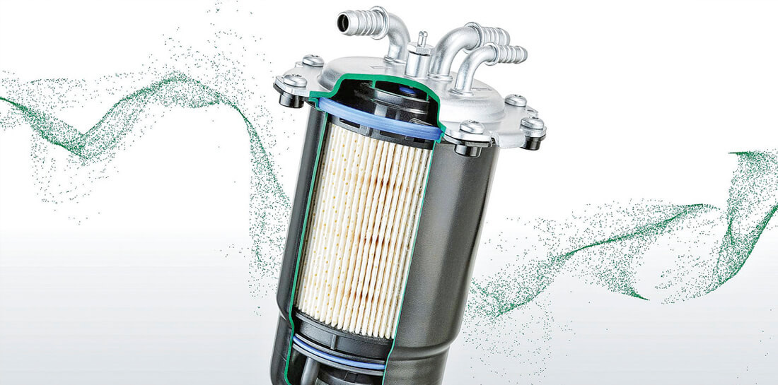 Фото взято из открытых источников