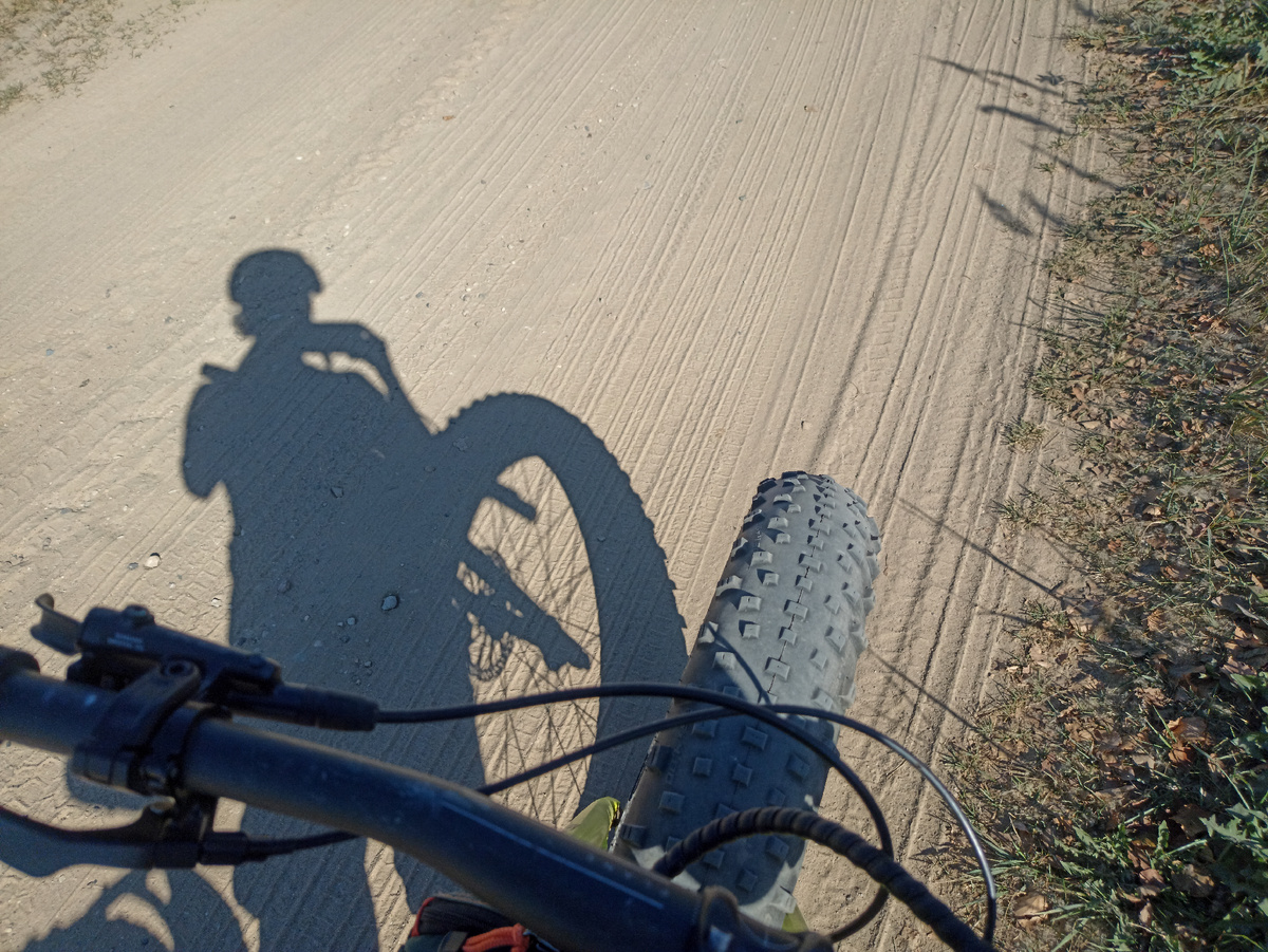 Моя одинокая тень