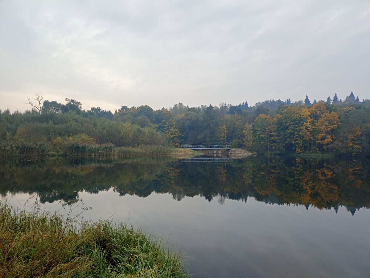 Одним осенним туманным днем