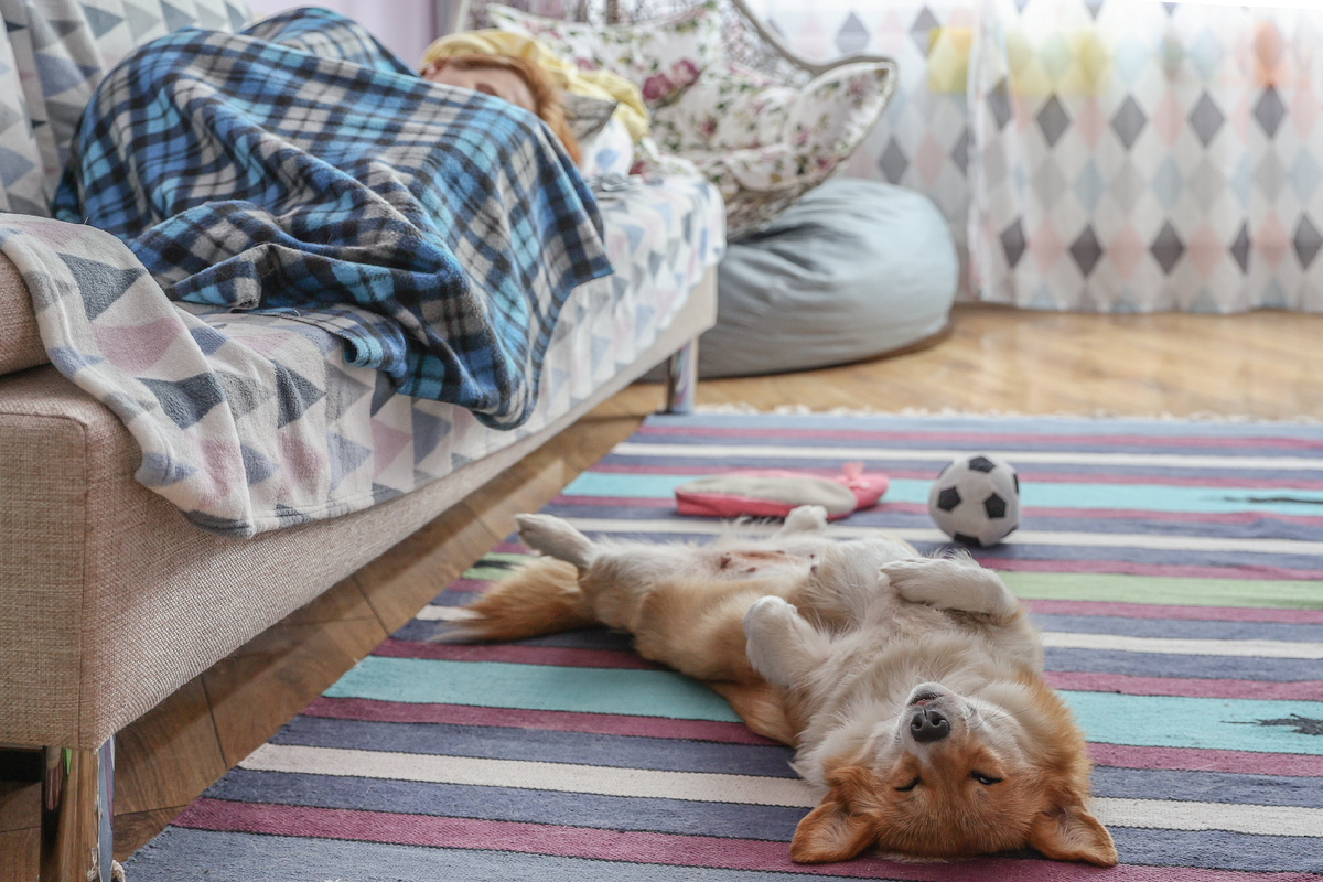 © Bulkin Sergey news.ru Global Look Press