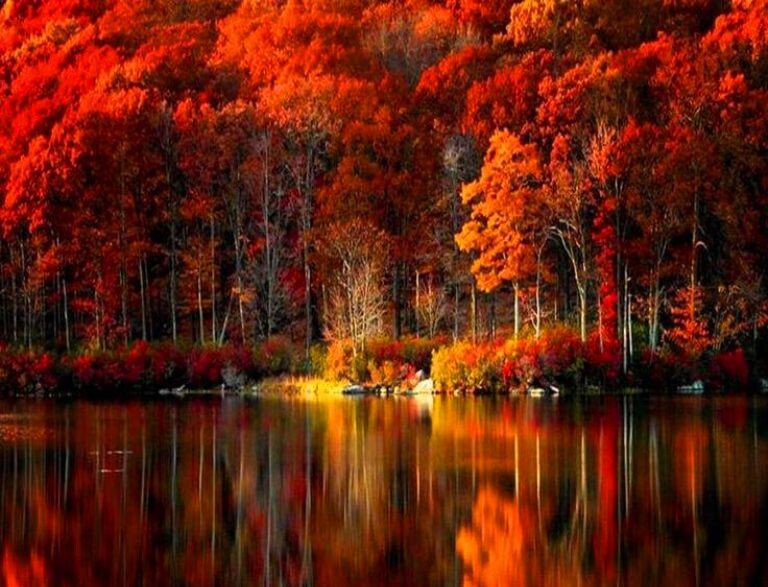 Фото взято в интернете.