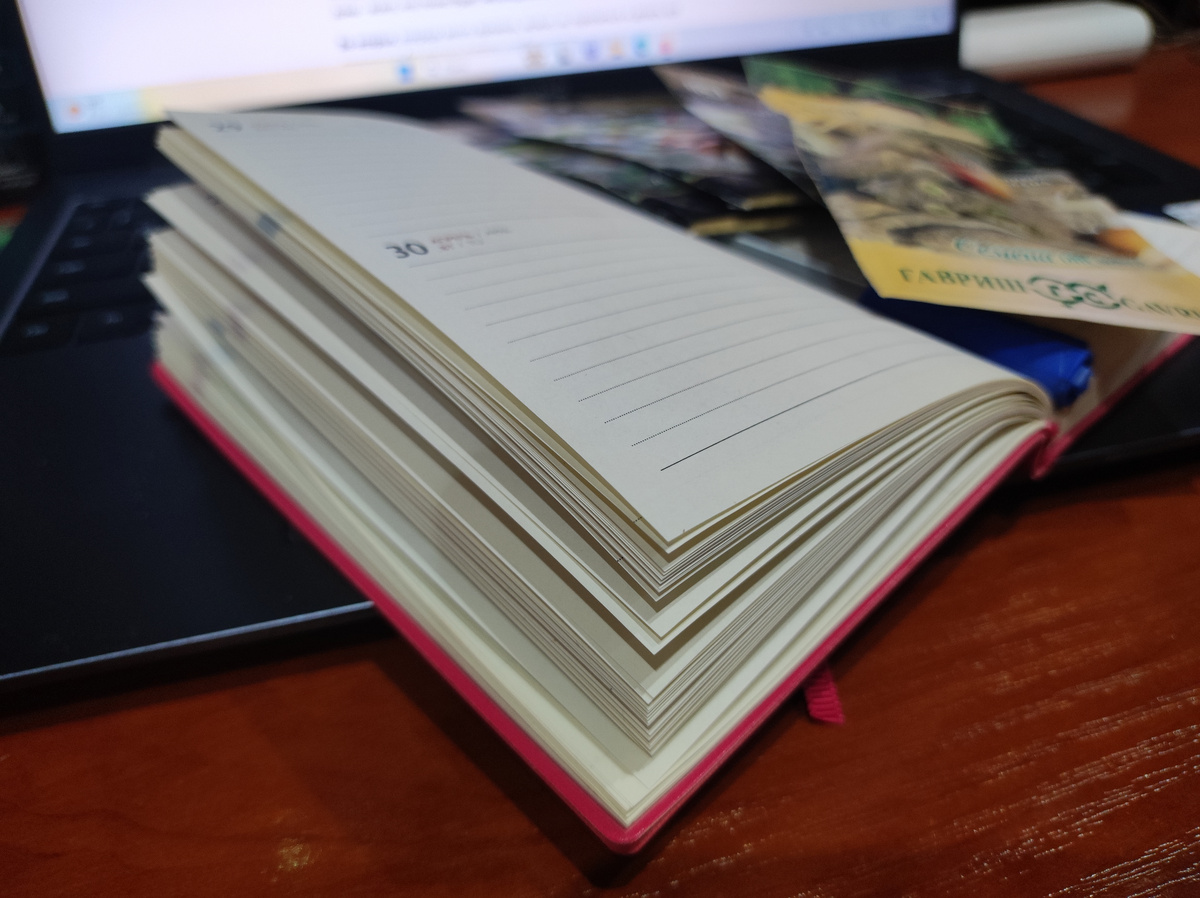 Фото автора, составляем списки необходимого к новому дачному сезону, октябрь 2024 года