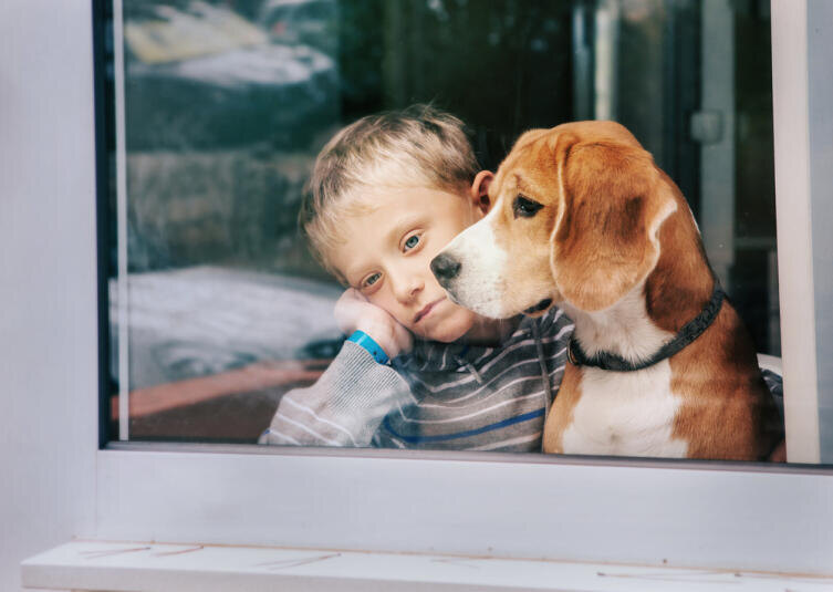    Фото: Soloviova Liudmyla, по лицензии shutterstock.com