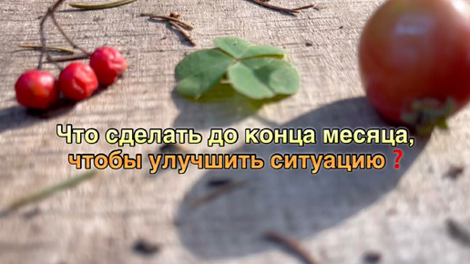 Что сделать до конца месяца, чтобы улучшить ситуацию❓