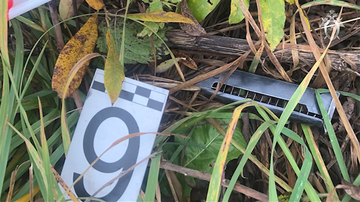    Стоп-кадр оперативного видео ГСУ СКР по Московской области.