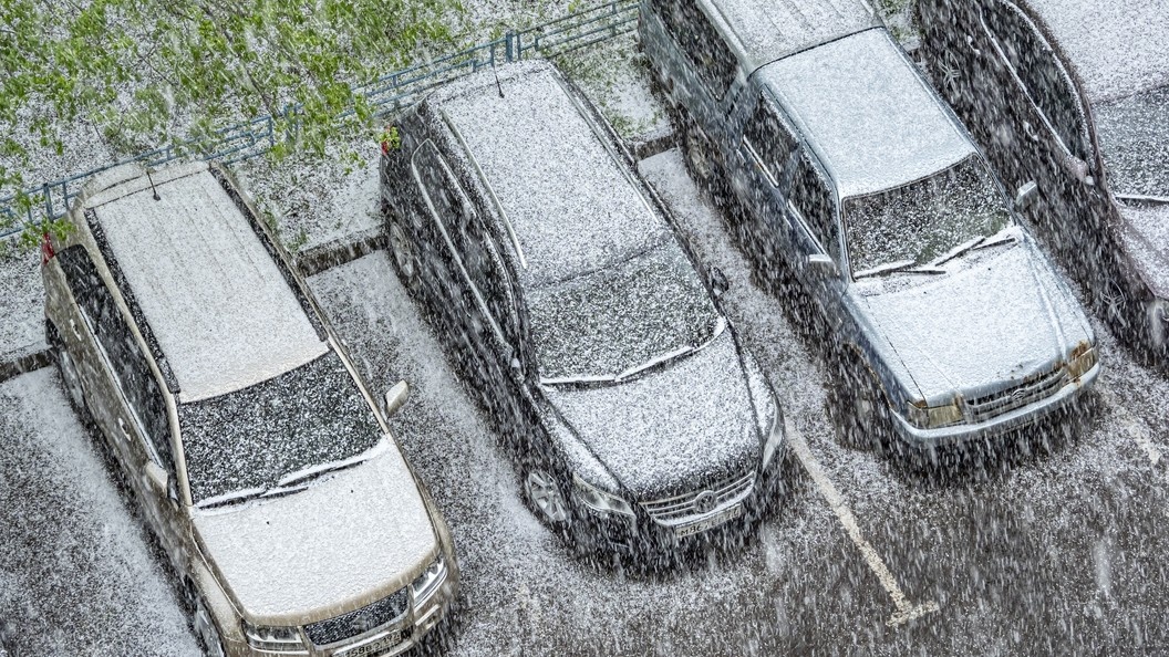    Konstantin Kokoshkin/Globallookpress