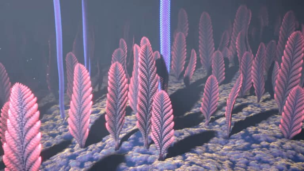 Чарнии — самые первые из описанных и самые известные эдиакарские организмы.