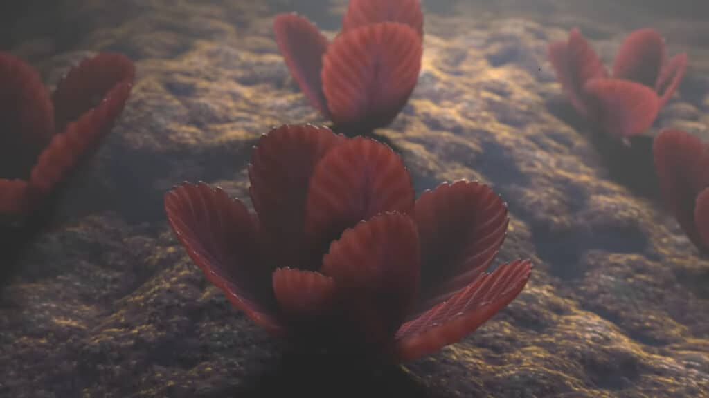 В эдиакаре живых существ амбиция не заедала. Большую часть жизни они проводили на одном месте.