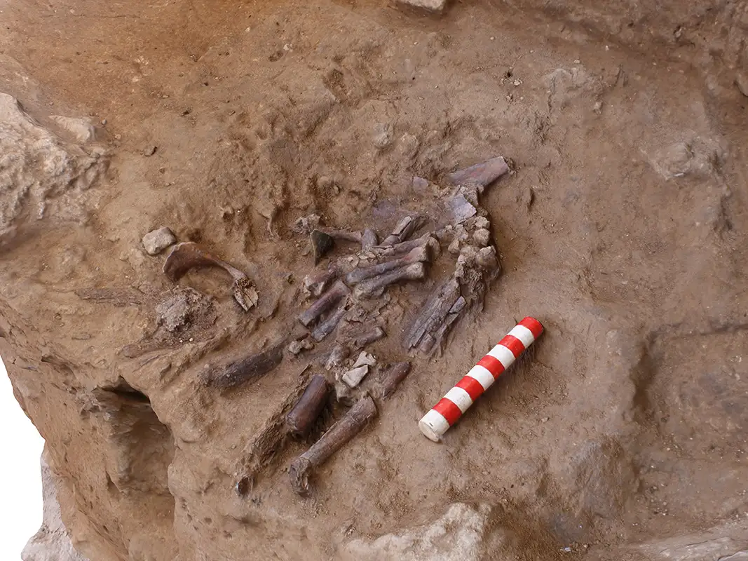 Неандертальское погребение