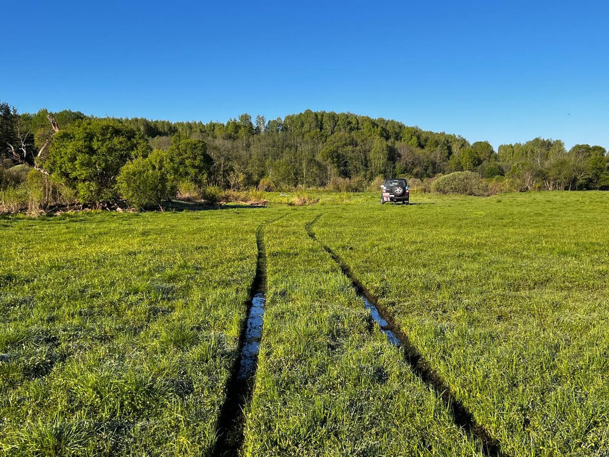    Фото: телеграм-канал «Аритмией по России»