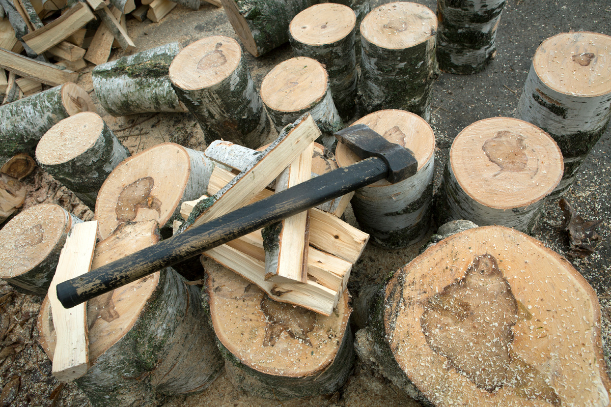 Nikolay Gyngazov/Global Look Press