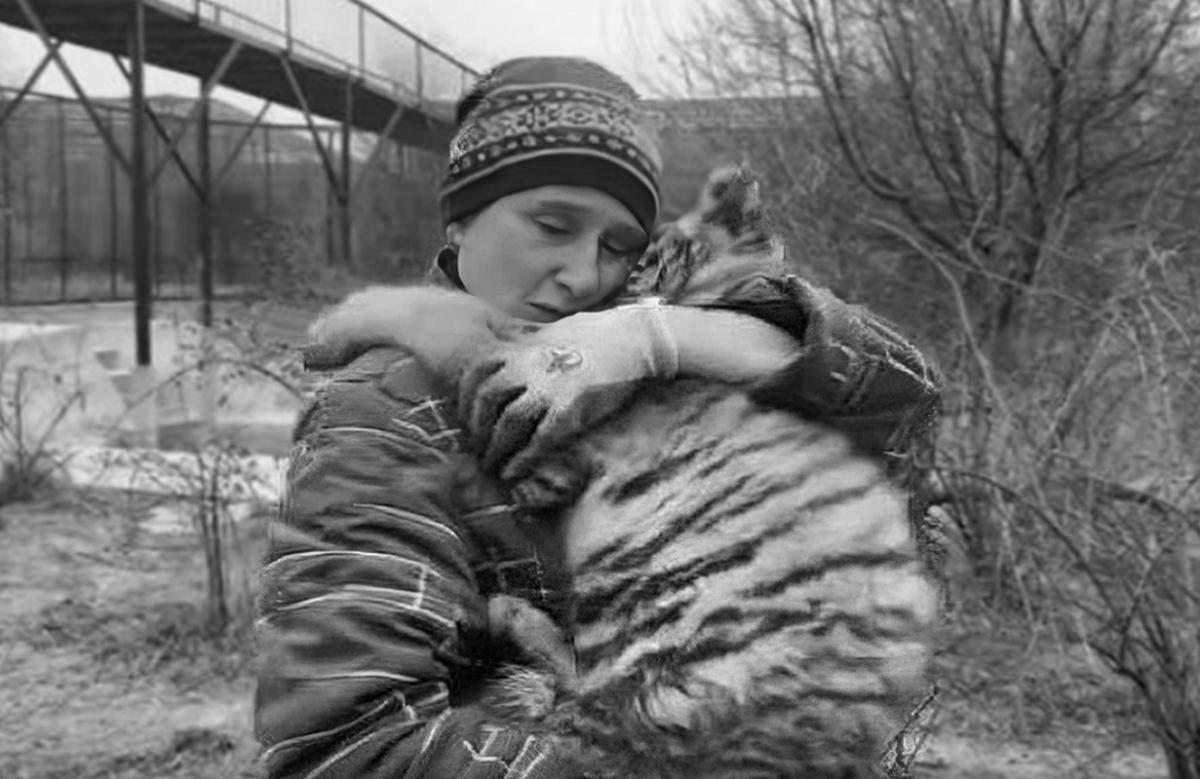 фото из открытых источников