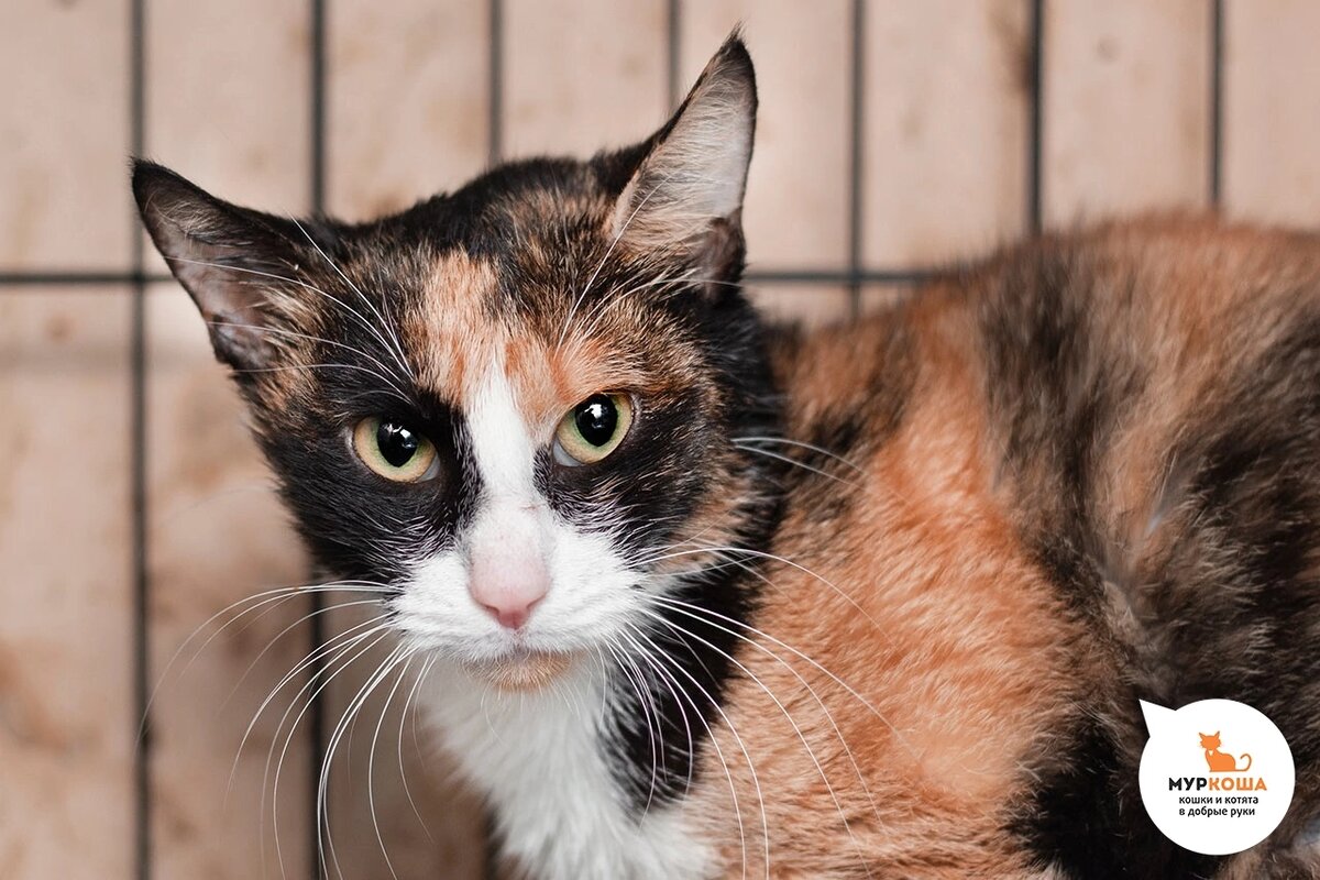 Мехрибан жила на улице, потом около месяца была в стационаре.