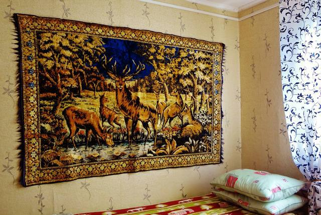 А у вас жили олени на стене?