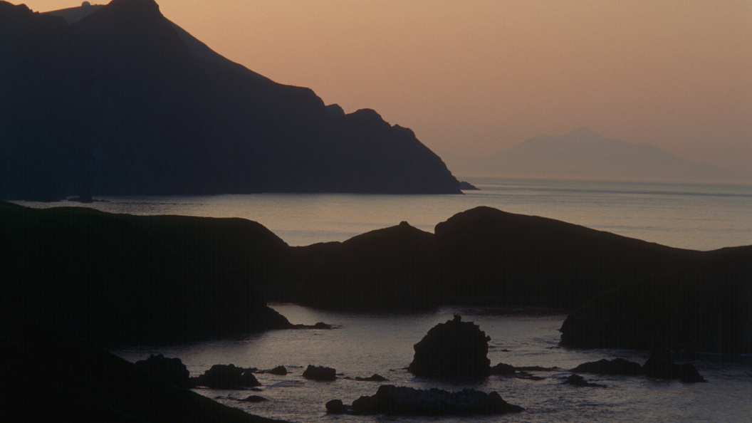    Фото: Aleksander Lyskin/Russian Look/Globallookpress