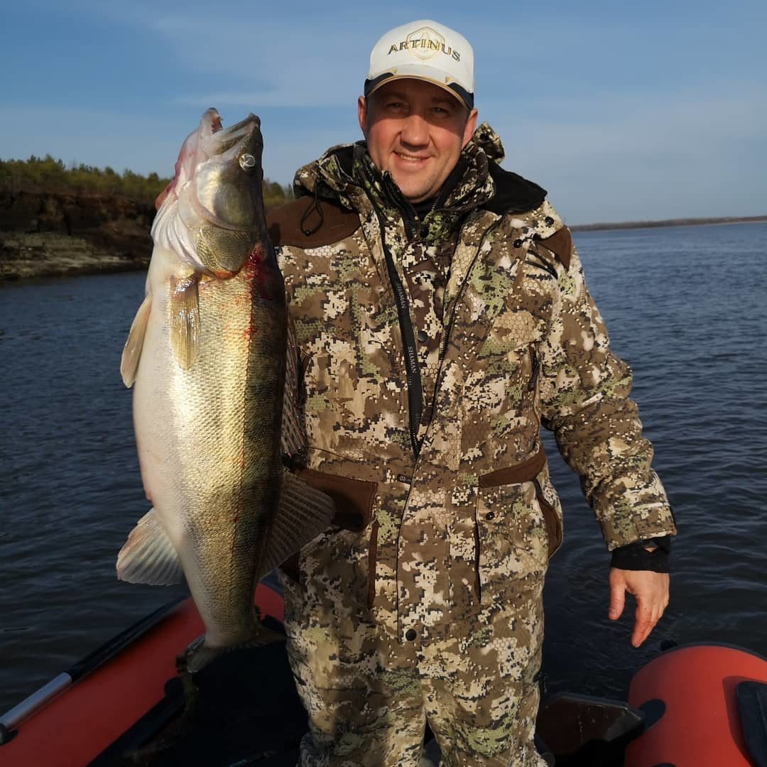 Обской судак