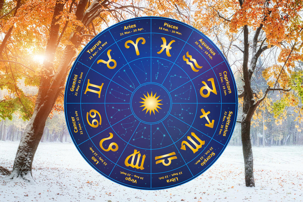    Гороскоп на ноябрь 2024 года для всех знаков зодиака 123RF/legion-media.ru. Коллаж: 7Дней.ru