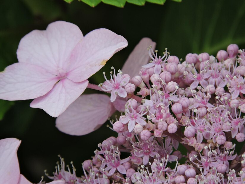 Designed by Freepik. Источник: www.freepik.com