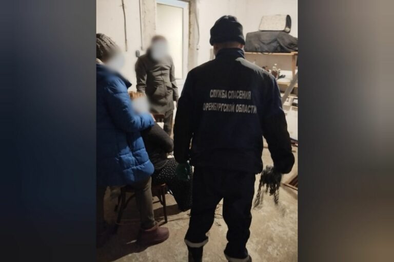    Упала в погреб. В Оренбургском районе женщине потребовалась помощь спасателей Кристина Просвиркина