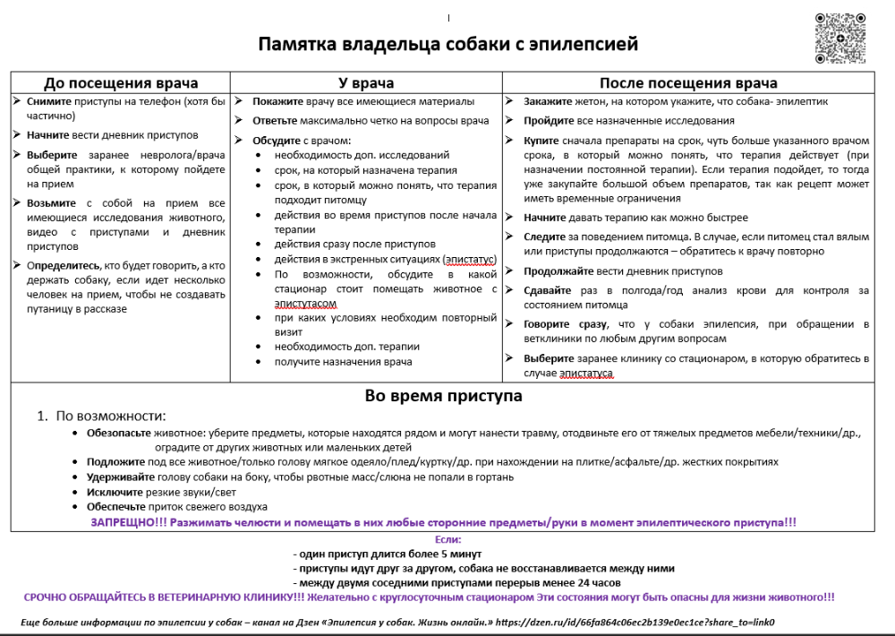 Памятка владельцам животных. Памятка владельцам животных