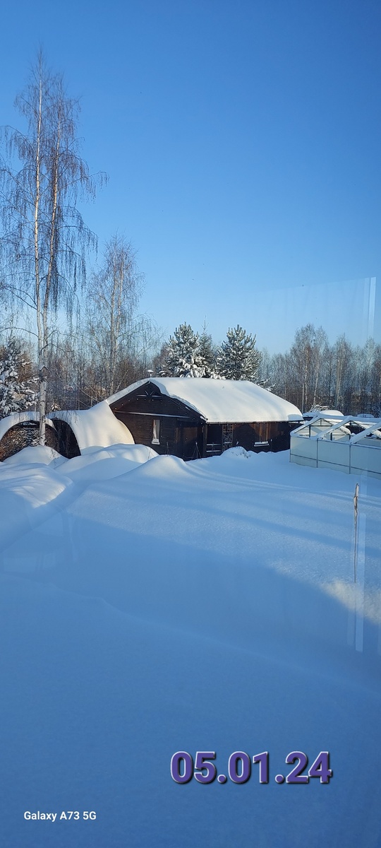 Сколько лет выглядывающим из-за бани соснам я не знаю. Когда в 2015 мы купили этот участок, они уже были немаленькими. Мои же посадки на участке под снегом даже не видны. И снег будет прибывать ещё три месяца.