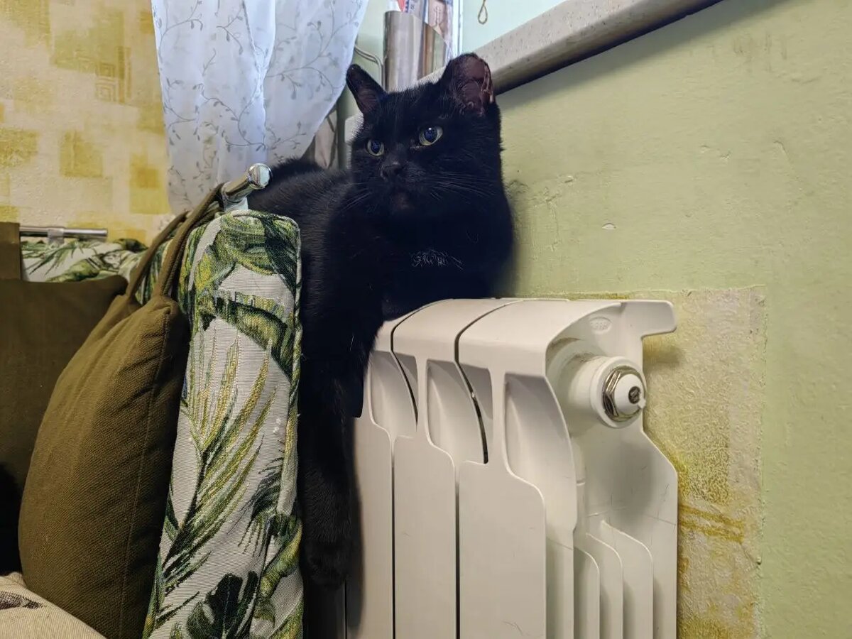     © "Интерфакс". Марина Леонова