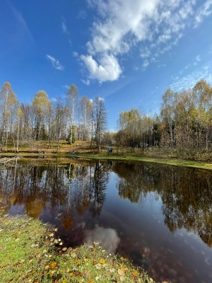 автор. Д. Нигматуллина