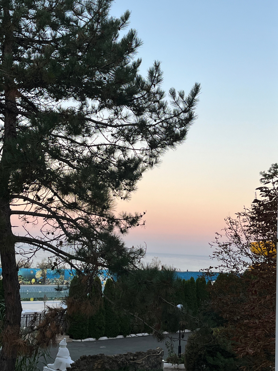 Фото автора. Утро!