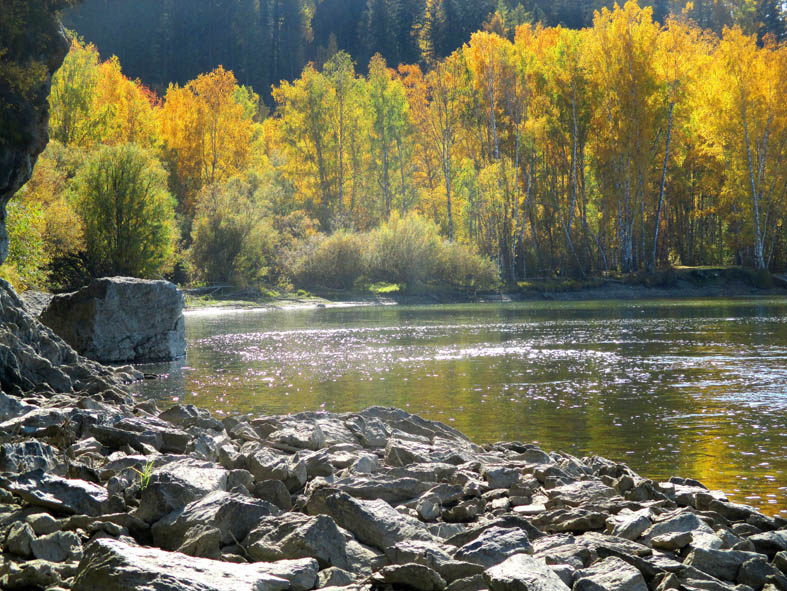Излучина Катуни близ Гагарки.  Фото автора.