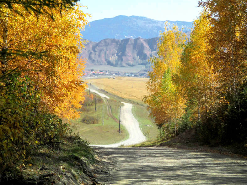 Дорога из Гагарки в Верх-Уймон.  Фото автора.
