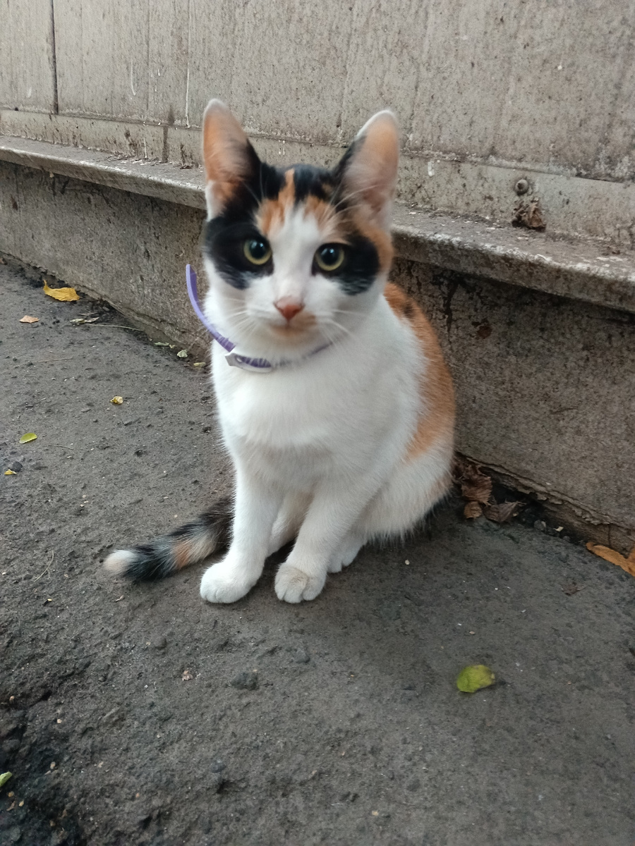 Фото автора