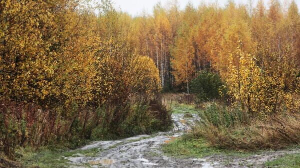    © Sputnik / Мария Плотникова