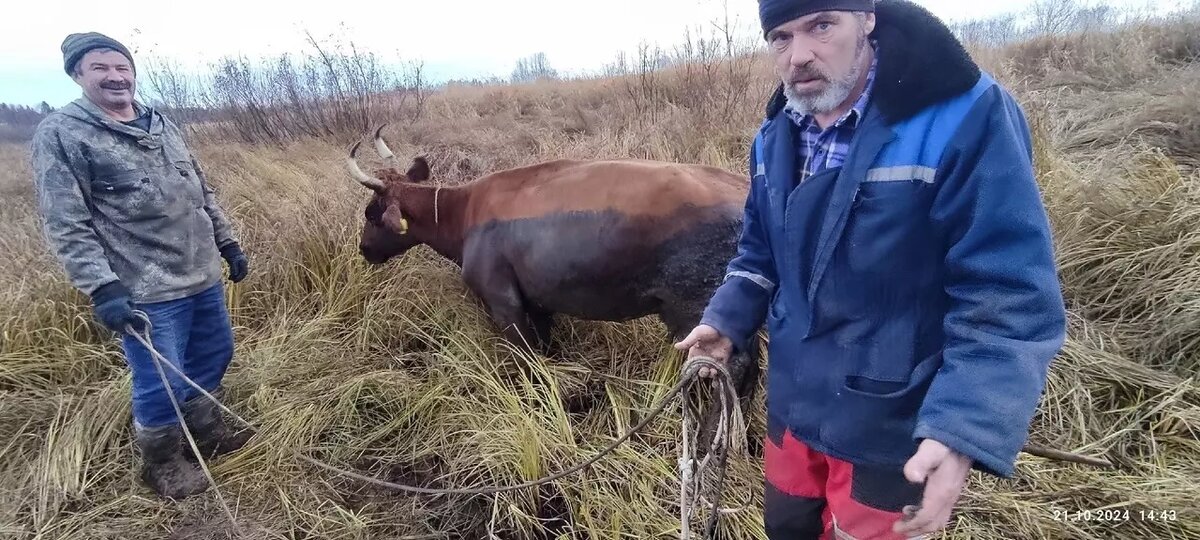     Источник: https://vk.com/wall-48215791_43599