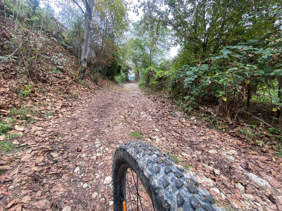 Подъем по дачной дороге