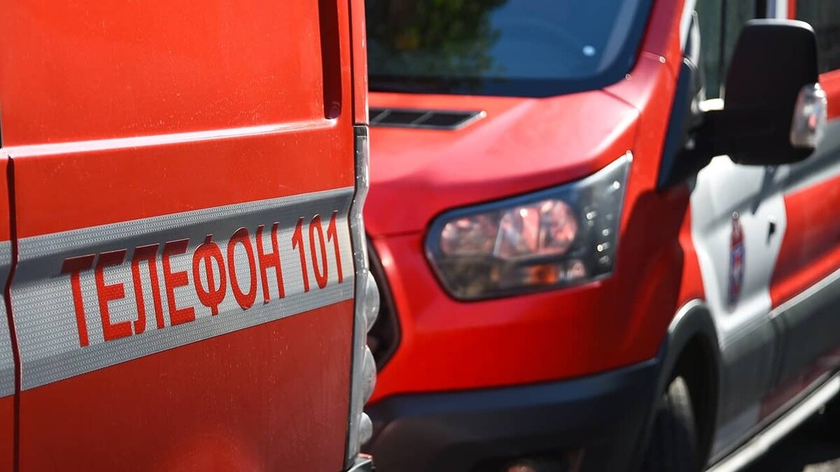 Фото: https://tvzvezda.ru/ (https://mcdn2.tvzvezda.ru/storage/news_other_images/2024/10/22/cc5fdc9ac8184958ac34c2399c99d16a.jpg)