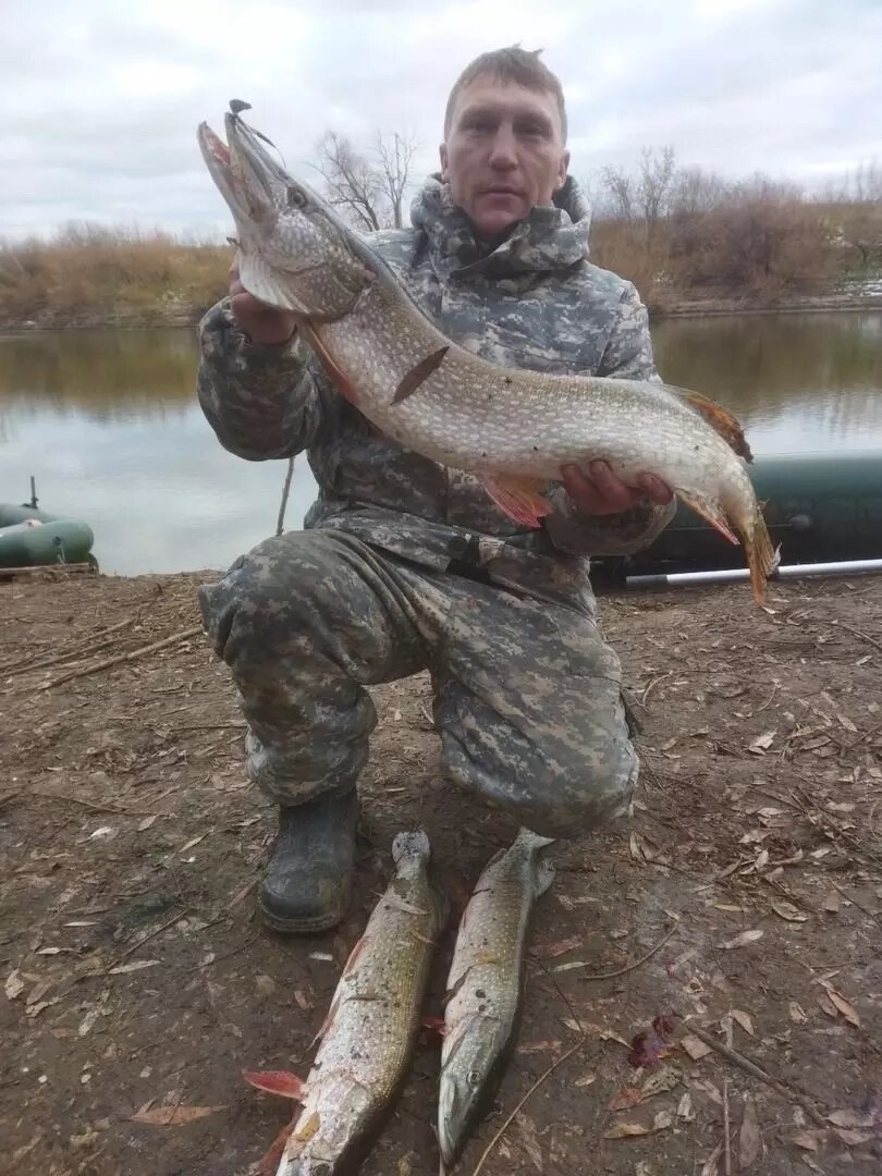     Источник: Ишимский рыболовный клуб