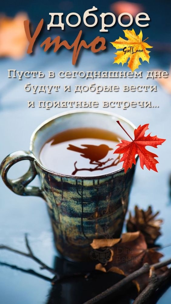 Мне прислали, с вами делюсь. 