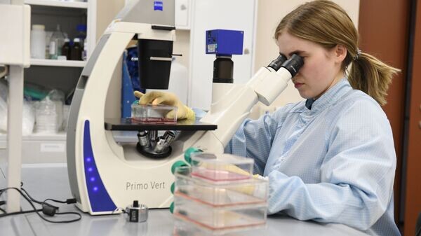    © Sputnik / Максим Богодвид