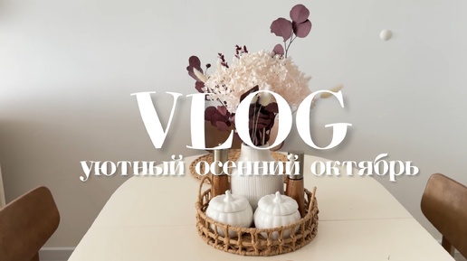 VLOG: осенний домашний влог. 21 октября 2024г